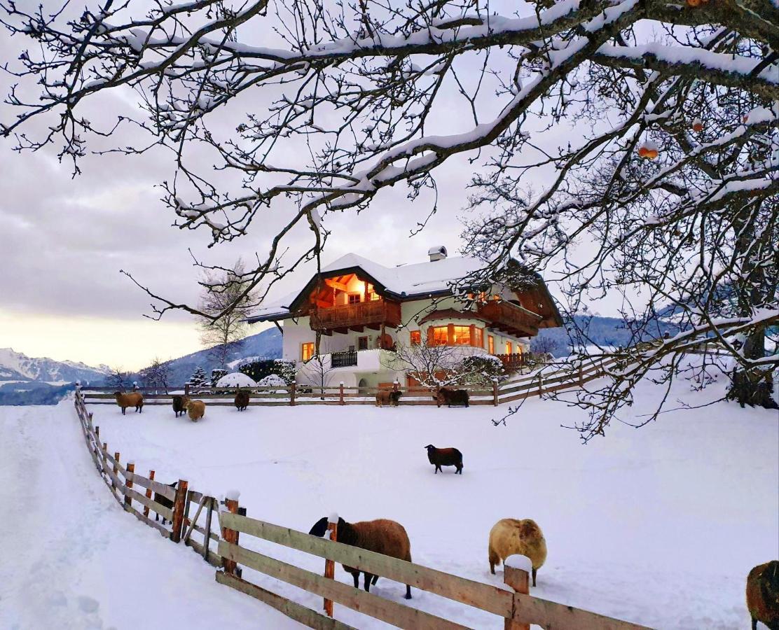 Oberplunerhof - Fewo Kronplatz Киенес Екстериор снимка